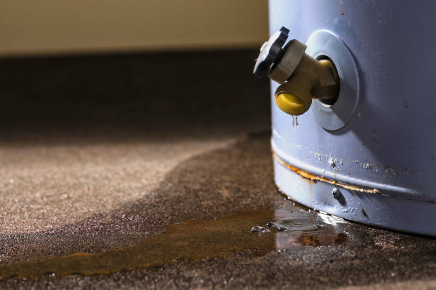 Best Local water damage restoration  in Pembroke Pines, FL