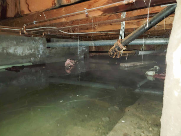 Best Water damage restoration process  in Pembroke Pines, FL