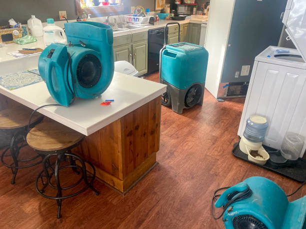 Best Water damage restoration near me  in Pembroke Pines, FL