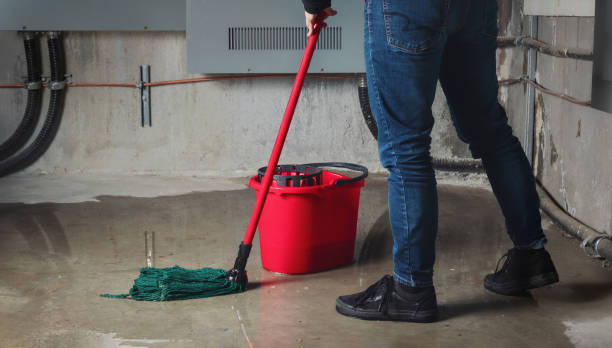 Best Professional water damage repair  in Pembroke Pines, FL