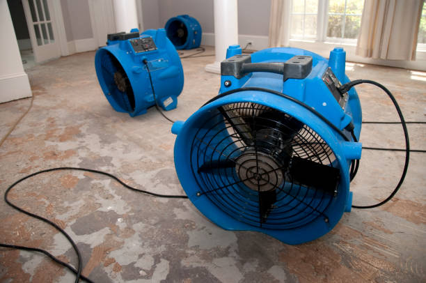 Best Local water damage restoration  in Pembroke Pines, FL