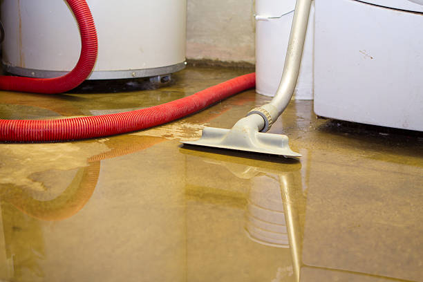 Best Water damage cleanup near me  in Pembroke Pines, FL