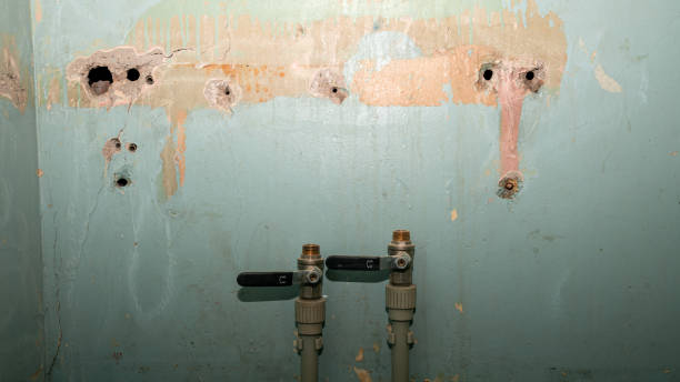 Best Flood damage cleanup  in Pembroke Pines, FL