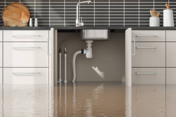 Best 24/7 water damage repair  in Pembroke Pines, FL