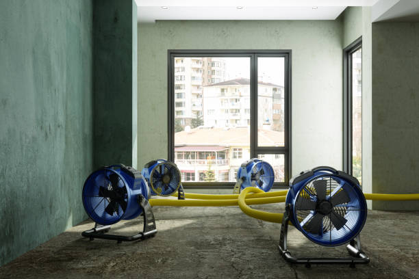 Best Water damage repair service  in Pembroke Pines, FL